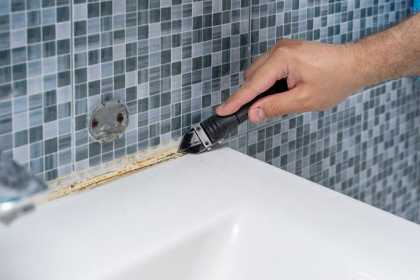Best Mold Remediation  in Bolingbrook, IL